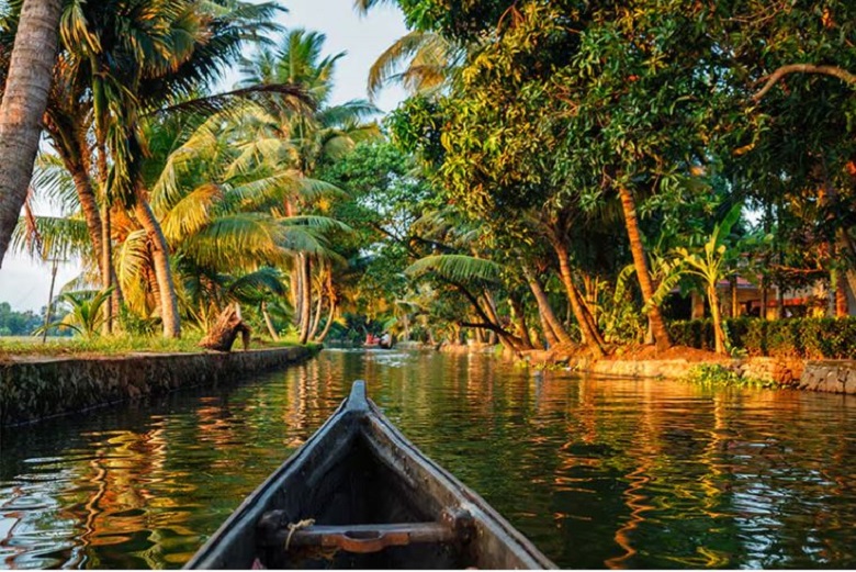 somatheeram resorts kerala, yoga retreat,  yoga retreats worldwide, yoga retreat india kerala,somatheeram resort retreats, affordable yoga retreats in india,therapeutic yoga resorts in india, holistic healing therapies in resorts, Ayurvedic resort ambiance in kerala