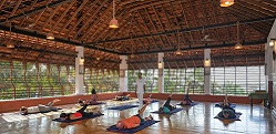 Hatha yoga