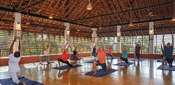 Hatha yoga